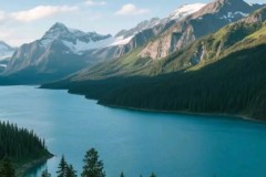 9500万新援头球绝杀！纽卡1-0狼队，23岁神锋让球迷忘记叛徒伊萨克